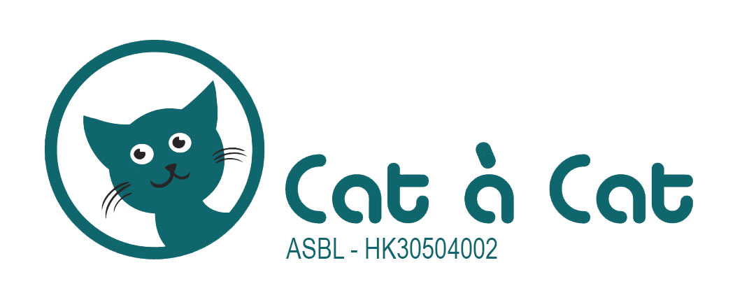 Cat à Cat – Association lensoise